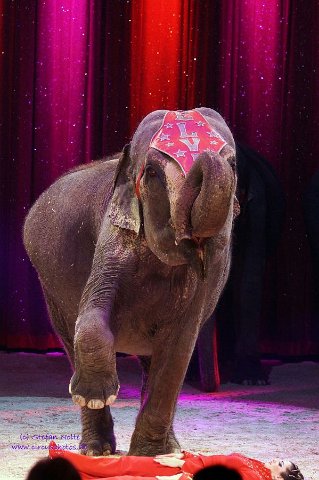 0083Heilbronner Weihnachtscircus2012(c)Stefan Nolte-www.circusphotos.de resized resized